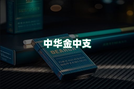 中华金中支